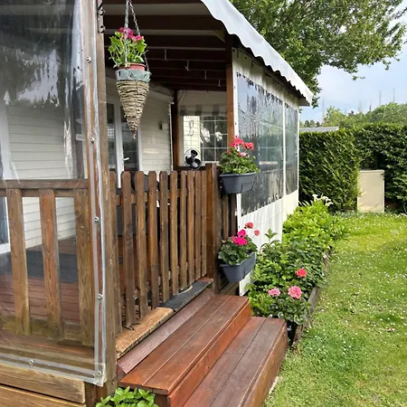 Campsite Mobilhome Cosy 520